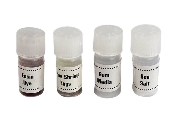 Children's Microscope in a Carrying Case Educational Scientist 28 Elements 300x 600x 1200x