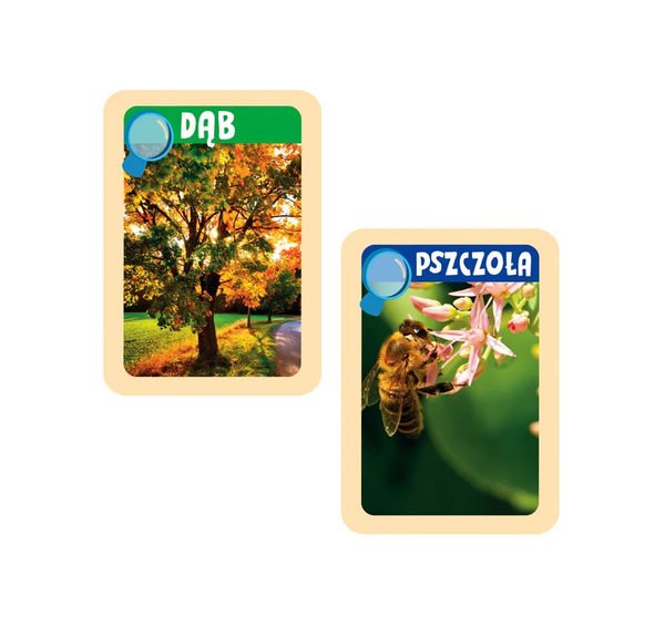 Scientific Fun Nature Explorers Nature Binoculars Polish Language Clementoni 50894