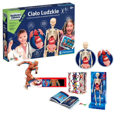 Science Fun Human Body Polish Language Clementoni 60249