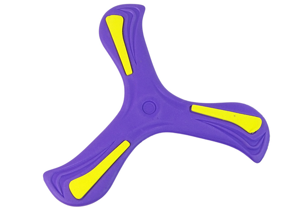Boomerang Flying Disc Thrower Purple For Kids