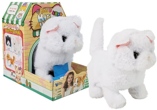 White Persian Cat Walks Wags Its Tail on Batteries