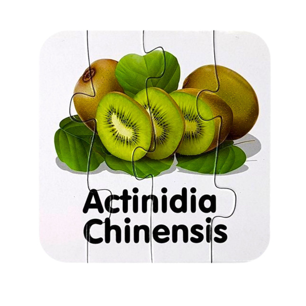 Educational Puzzle Fruit Jigsaw Puzzle 10 Connections