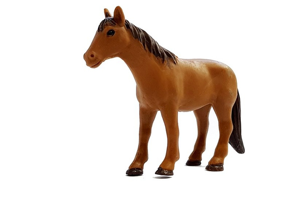 Horse Transport Vehicle White