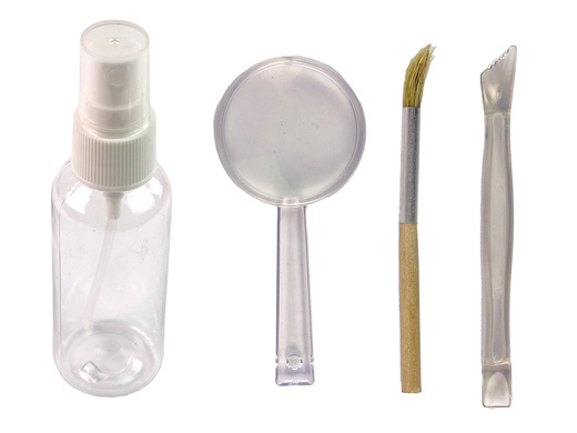 Lernset zur Ausgrabung von Triceratops-Dinosauriern