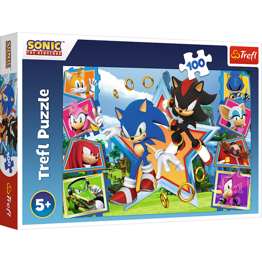Puzzle - "100" - Meet Sonic Trefl 16465