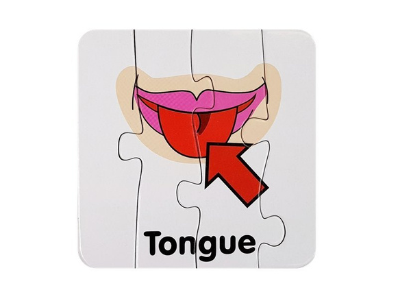 Pädagogisches Puzzle Körperteile Puzzle 10 Englische Verbindungen