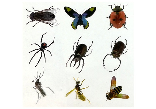 Prehistory Creative Set Create Amber Insects