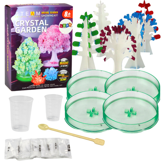 Educational Kit Experience Growing Crystal Trees