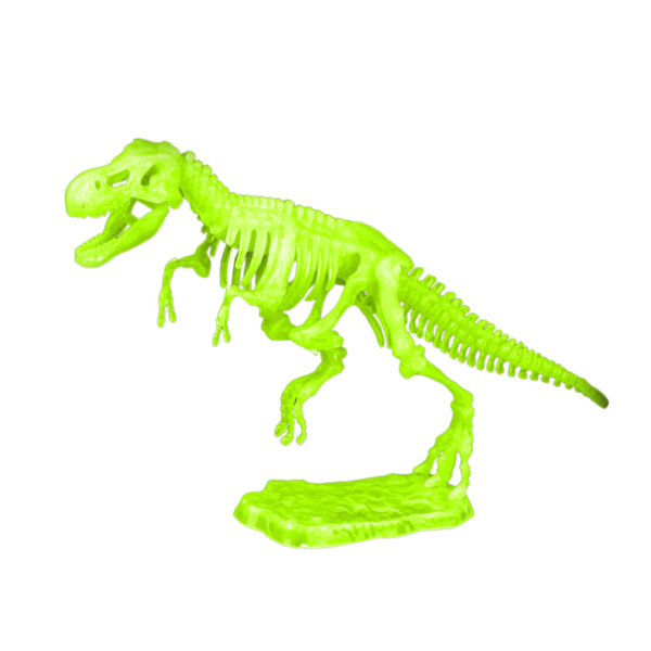 Archaeology Excavation Kit Fluorescent Skeleton Tools