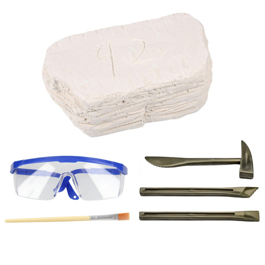 Archaeology Excavation Set Skulls Bones Tools Accessories