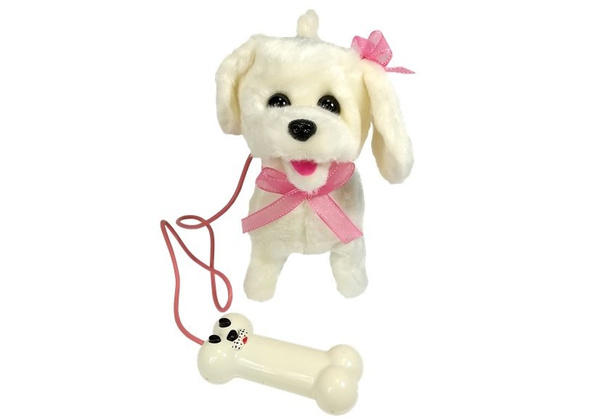 White Poodle Dog On A Leash With Pilot Bone