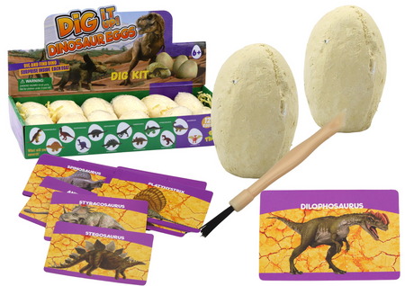 Archaeological Excavation Set Dinosaurs Eggs Cards 12 Pieces