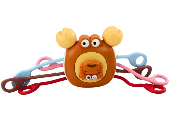 Interactive Sensory Crab Educational Teether For Children
