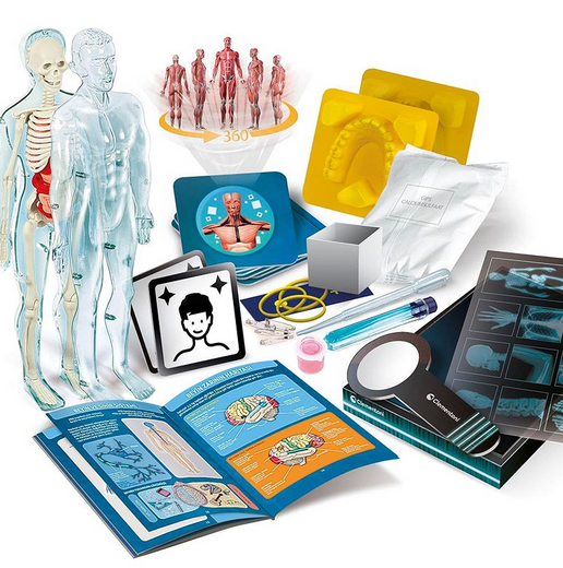 Science Fun Super Anatomy Polish Language Clementoni 50919