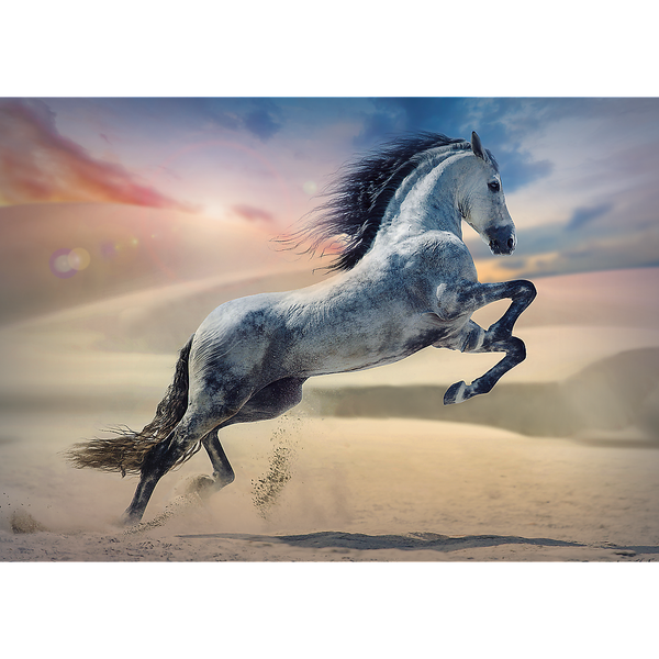 Puzzle - "1000" - Majestic Horse Trefl 10790