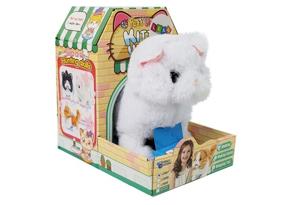 Weiße Perserkatze geht wedelt mit dem Schwanz auf Batterien