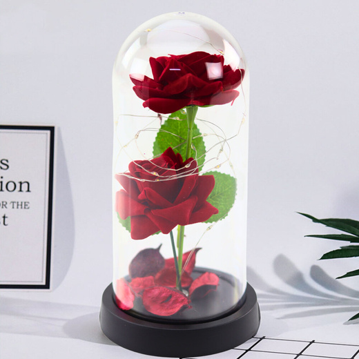 Eternal 2 Roses in Dome with LED Lighting and Rose Petals Red 21x11cm