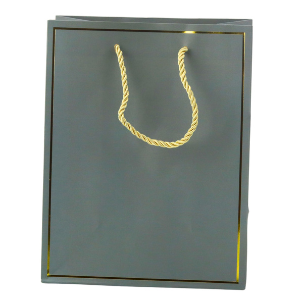 Gift Bag with Gold Frame Mix Color 23 x 18 x 10 cm