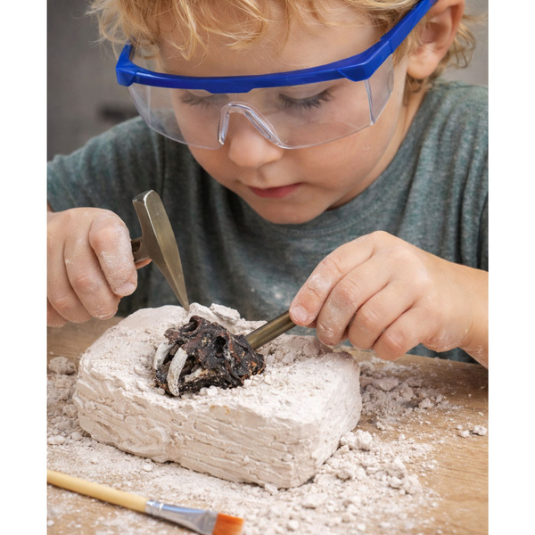 Archäologisches Ausgrabungsset: Schädel, Knochen, Werkzeuge, Zubehör