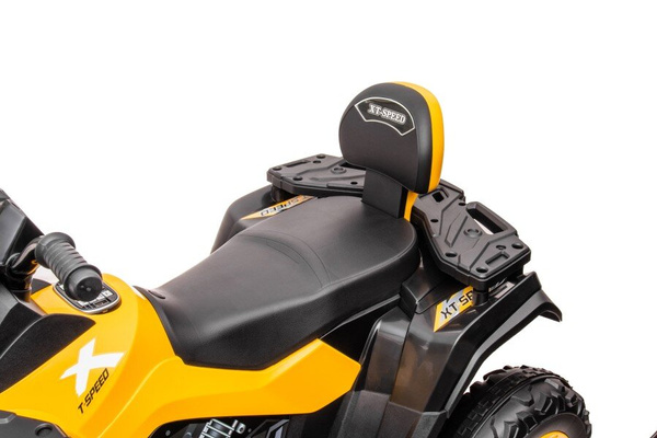 Quad Battery S615 Yellow 24V