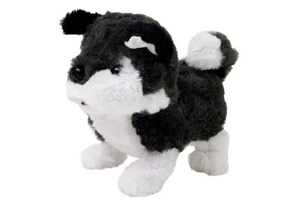 Interactive Husky Battery Operated Dog Walks Moves His Tail Sound
