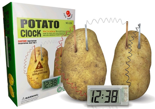 Potato Eco Clock Creative Science Experiment Set