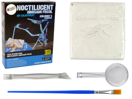 Archaeology Excavation Kit Dinosaur Skeleton Pteranodon 3D Hologram