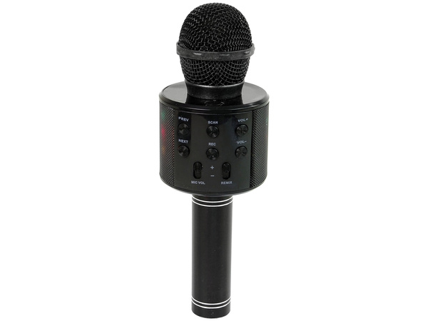 Drahtloses Mikrofon USB Lautsprecher Karaoke Aufnahme Modell WS-858 Schwarz