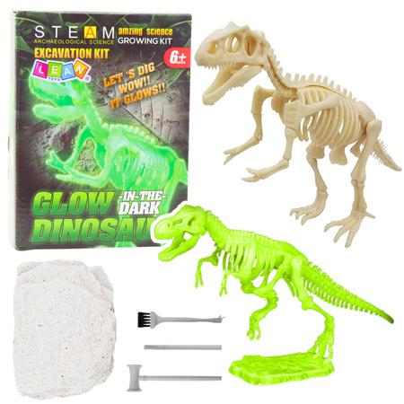 Archaeology Excavation Kit Fluorescent Skeleton Tools