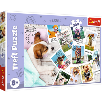 Puzzle - "300" - Holiday photos / Trefl 23003