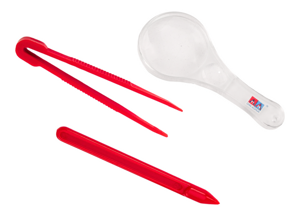 Set zum Beobachten und Fangen von Insekten, Lupe, Lernglas