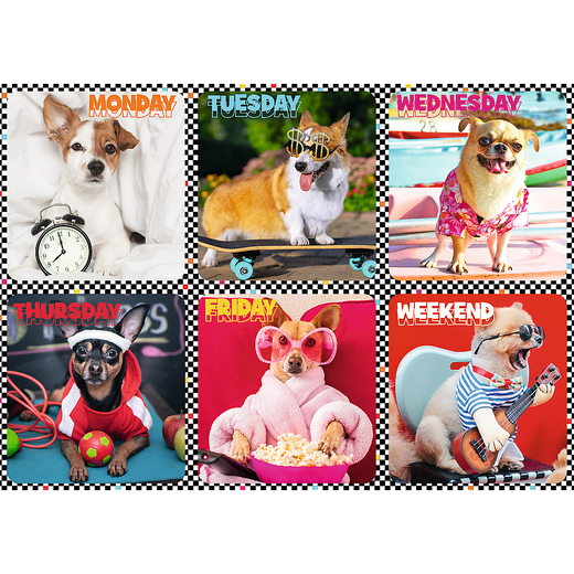 Puzzle - 200 - Happy dogs - Trefl 13279