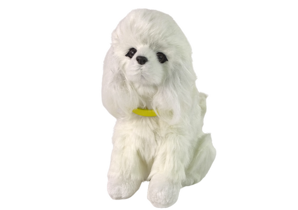 Interactive Plush Dog Soft fur Breed Poodle Stroke its head and learn its functions